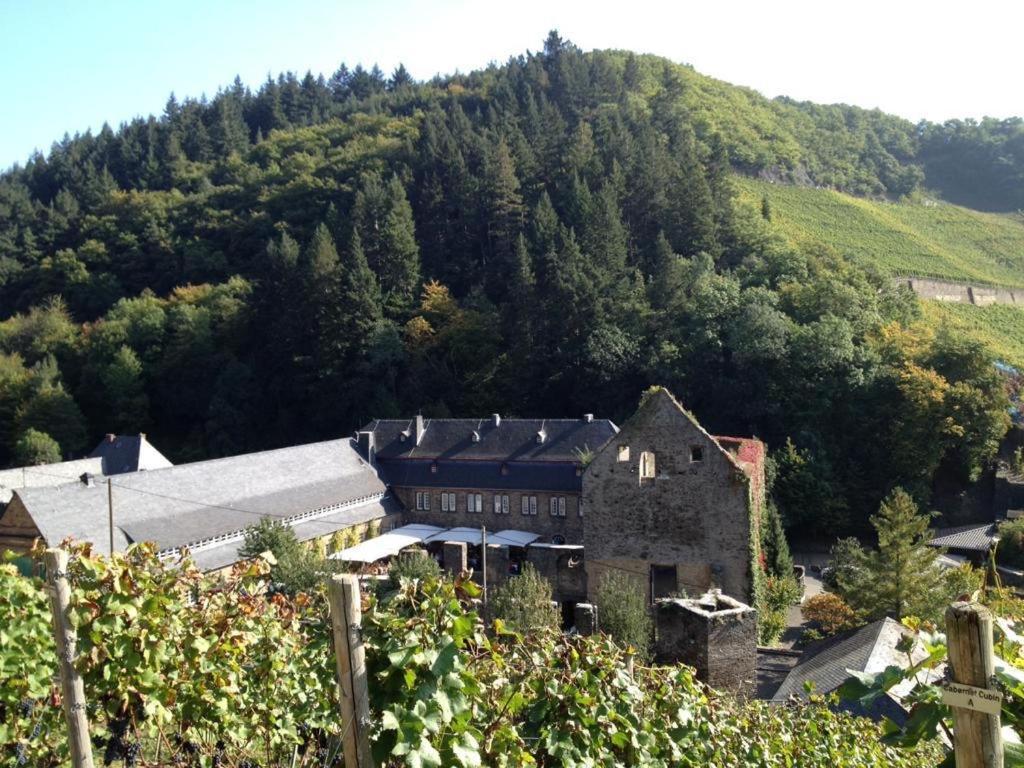 Ferienwohnung Landskroner Blick Bad Neuenahr-Ahrweiler Luaran gambar